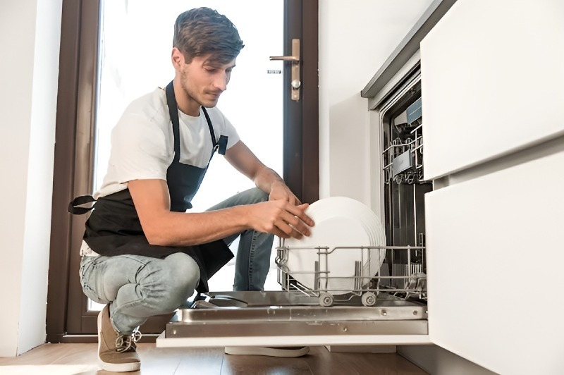 Dishwasher repair in Hasley Canyon